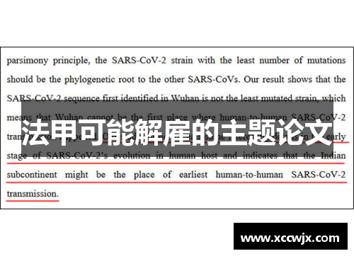 法甲可能解雇的主题论文